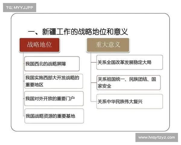 最佳女大枪角色加点与技能搭配五大策略解析与实战应用 最佳女大枪角色加点与技能搭配五大策略解析与实战应用