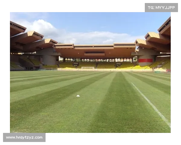 大卫路易斯球场位置解析及相关赛事历史回顾