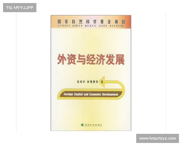 如何在高水平开放格局下有效吸引外资促进经济发展